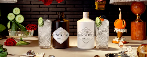 Gin Article Hero Desktop