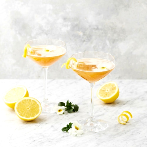 Daisy sidecar cocktail