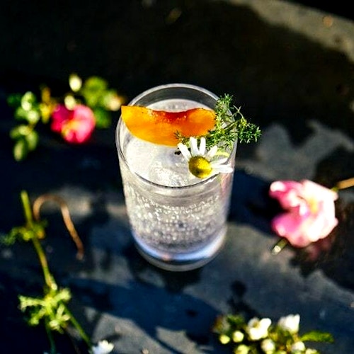 Gin tonic med fersken og kamilleblomst