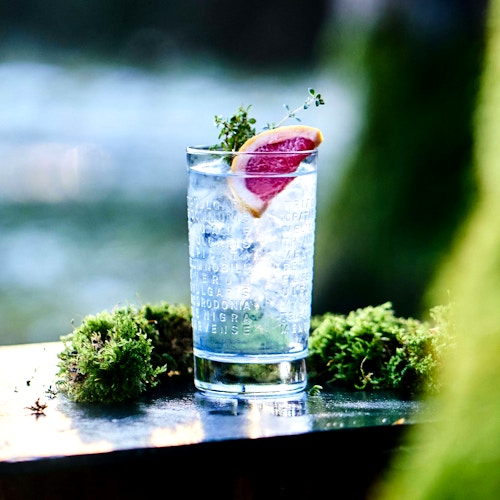 Gin tonic med grapefrugt og timian