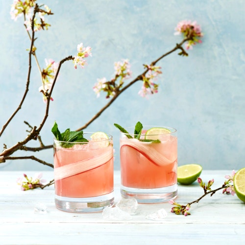 Rabarber Margarita cocktail
